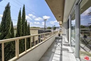 339 N Palm Dr, Beverly Hills, CA 90210 - Photo 11