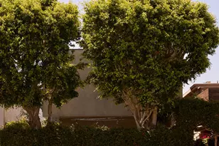 2411 Abbot Kinney Blvd, Los Angeles, CA 90291 - Photo 21