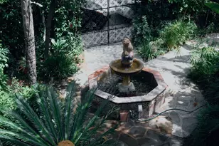 8468 Fountain Ave, West Hollywood, CA 90069 - Photo 15