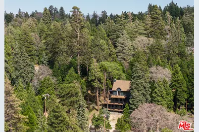 413 Cimarron Ln, Lake Arrowhead, CA 92352 - Photo 37