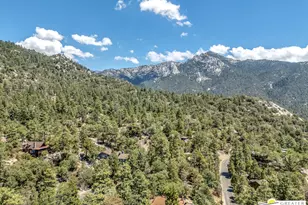 25280 Azalea Dr, Idyllwild, CA 92549 - Photo 7