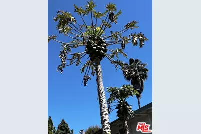 5633 La Mirada Ave, Los Angeles, CA 90038 - Photo 33