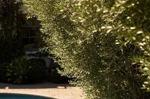 638 N Cherokee Ave, Los Angeles, CA 90004 - Photo 13