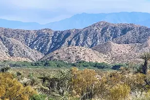 0 Cedar, Morongo Valley, CA 92256 - Photo 1