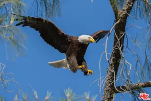 1 Blackhawk Lake, Coarsegold, CA 93614 - Photo 1