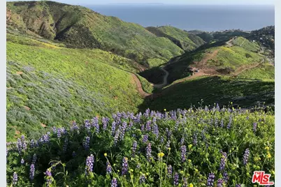3900 Latigo Canyon Rd, Malibu, CA 90265 - Photo 1