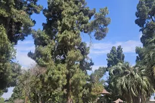 854 S Plymouth Blvd, Los Angeles, CA 90005 - Photo 1