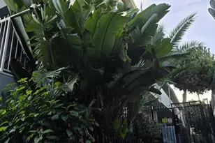 350 S Hobart Blvd, Los Angeles, CA 90020 - Photo 1