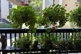 5218 Raintree Cir, Culver City, CA 90230 - Photo 1