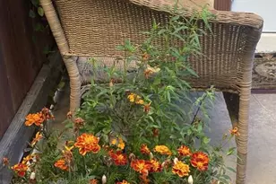 6661 Lindenhurst Ave, Los Angeles, CA 90048 - Photo 1