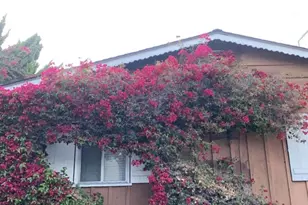 11317 Iowa Ave, Los Angeles, CA 90025 - Photo 1