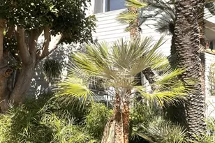 601 Coeur D Alene Ave, Venice, CA 90291 - Photo 1