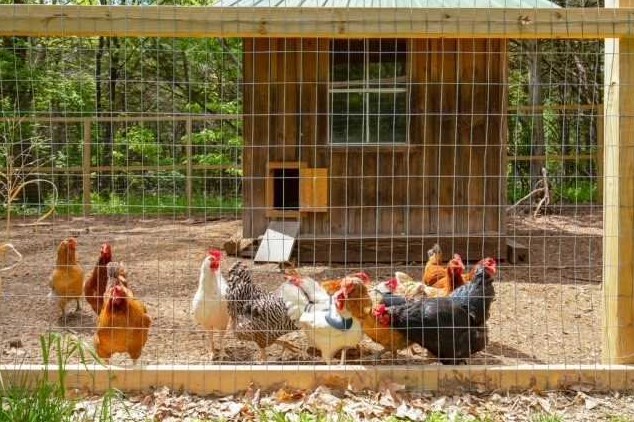 207 Fraleigh Ln, Red Hook NY 12571-2350 exterior