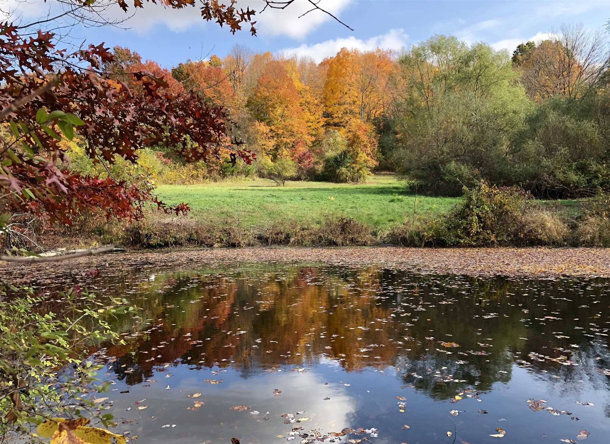 Sky Park Ln, Red Hook, NY 12571 MLS 419811 Coldwell Banker