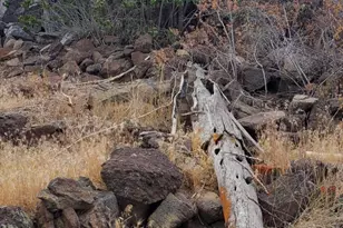 18990 SE Doubtful Dirt Rd, Prineville, OR 97754 - Photo 35