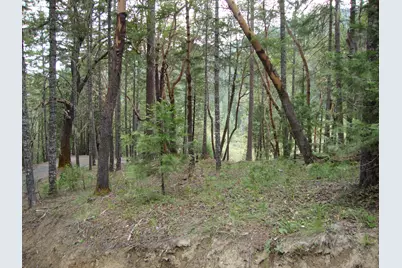 36510 Ditch Creek Road, Rogue River, OR 97537 - Photo 15