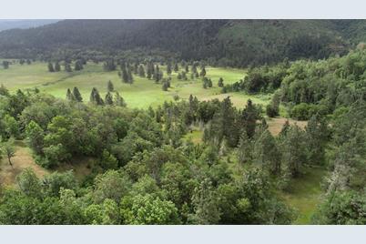 Cow Creek Road #100, Riddle, OR 97469 - Photo 3