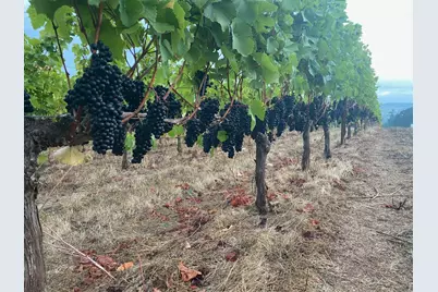 7820 SE Amity Road, Amity, OR 97101 - Photo 7