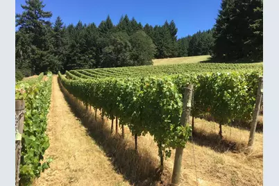 7820 SE Amity Road, Amity, OR 97101 - Photo 3