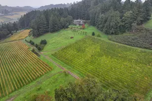 7820 SE Amity Rd, Amity, OR 97101 - Photo 35