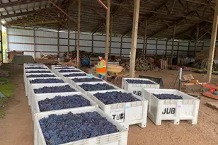 7820 SE Amity Rd, Amity, OR 97101 - Photo 13