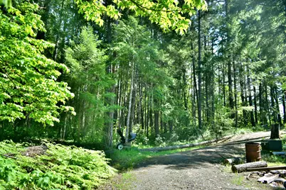 7419 Holland Corner Road, Cave Junction, OR 97523 - Photo 45