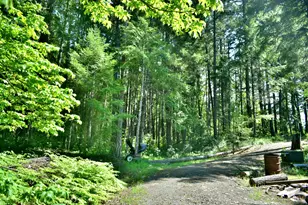 7419 Holland Corner Rd, Cave Junction, OR 97523 - Photo 45