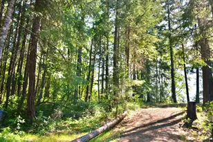 7419 Holland Corner Rd, Cave Junction, OR 97523 - Photo 47