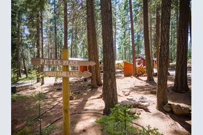 26842 Forest Park Lane, Klamath Falls, OR 97601 - Photo 87