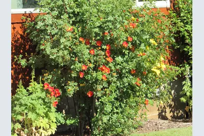 34219 Glen Drive, Chiloquin, OR 97624 - Photo 11