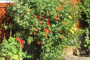 34219 Glen Dr, Chiloquin, OR 97624 - Photo 11