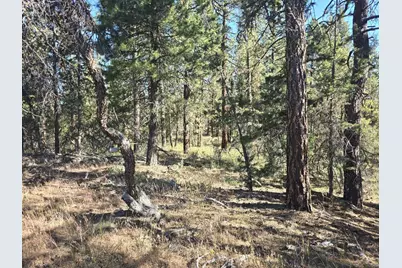 0 Night Owl Drive #26, Bonanza, OR 97623 - Photo 9