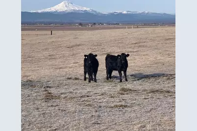 2660 SW Highland Lane, Culver, OR 97734 - Photo 99