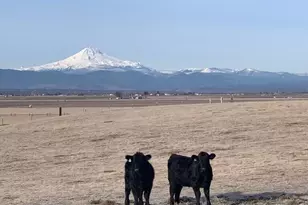 2660 SW Highland Ln, Culver, OR 97734 - Photo 99