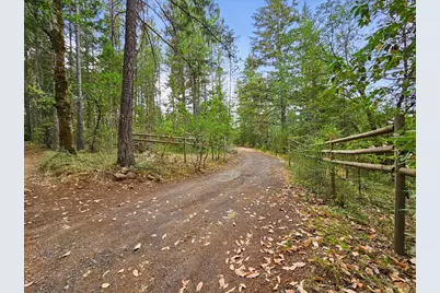 422 Onion Mountain Road, Wilderville, OR 97543 - Photo 51