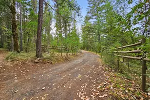 422 Onion Mountain Rd, Wilderville, OR 97543 - Photo 51