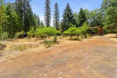 422 Onion Mountain Road, Wilderville, OR 97543 - Photo 43