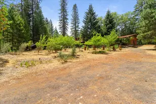 422 Onion Mountain Rd, Wilderville, OR 97543 - Photo 43