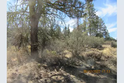 Lot 2 Tiger Lane, Bonanza, OR 97623 - Photo 7
