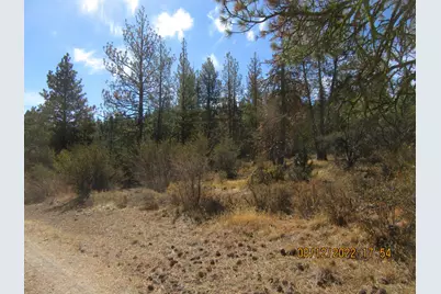 Lot 2 Tiger Lane, Bonanza, OR 97623 - Photo 9