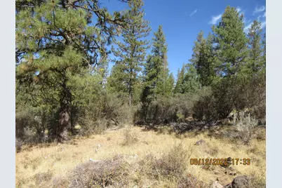 Lot 2 Tiger Lane, Bonanza, OR 97623 - Photo 1