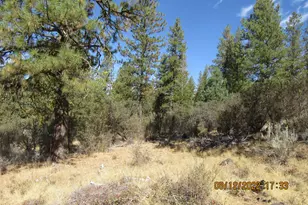 Lot 2 Tiger Ln, Bonanza, OR 97623 - Photo 1