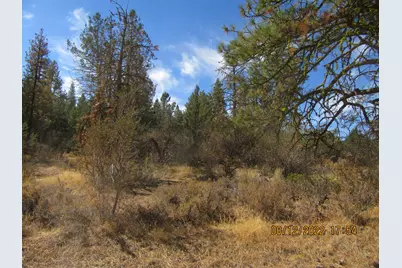 Lot 2 Tiger Lane, Bonanza, OR 97623 - Photo 11