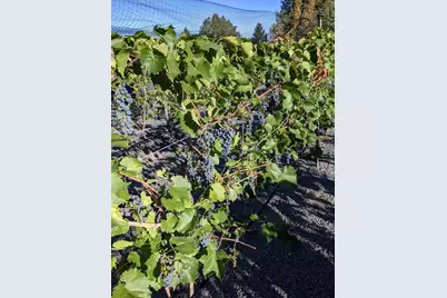 2651 N Main Street, Prineville, OR 97754 - Photo 47