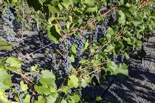 2651 N Main St, Prineville, OR 97754 - Photo 47