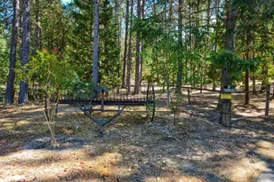 291 Pyle Dr, Grants Pass, OR 97527 - Photo 29