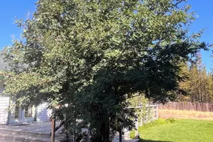 51332 Preble Way, La Pine, OR 97739 - Photo 3