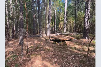 2860 E Fork Road, Williams, OR 97544 - Photo 53