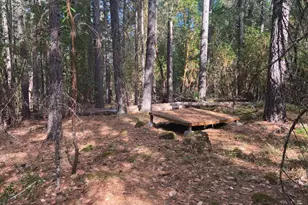 2860 E Fork Rd, Williams, OR 97544 - Photo 53