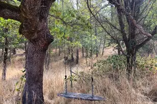 2860 E Fork Rd, Williams, OR 97544 - Photo 59